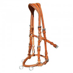 CABEZADA CAROLINA CON MONTANTE 2