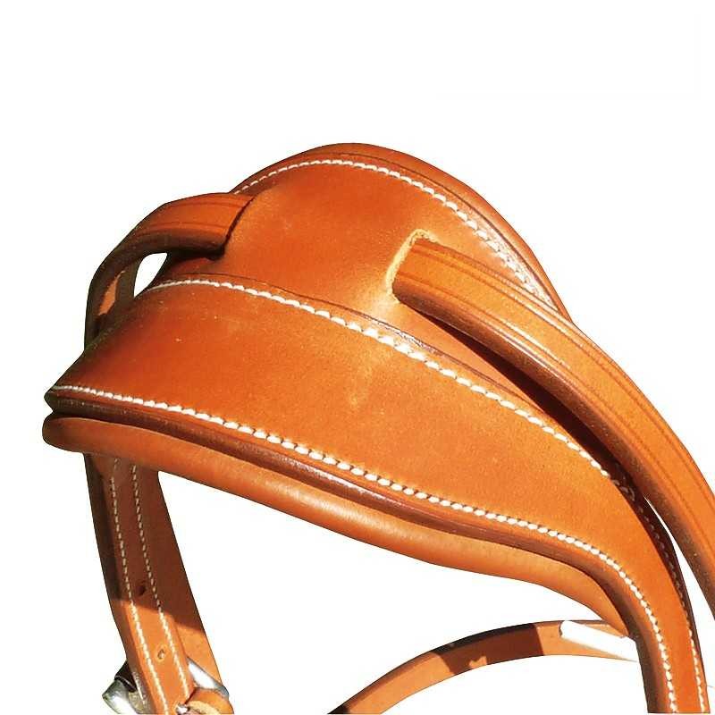 CABEZADA CAROLINA CON MONTANTE