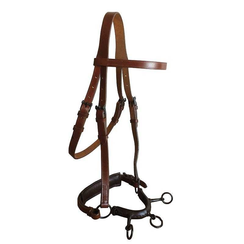 CABEZADA MARJOMAN DE DOMA CON SERRETÓN DE 3...