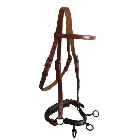 CABEZADA MARJOMAN DE DOMA CON SERRETÓN DE 3 PILARES Y ANILLA LATERAL