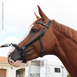 CABEZADA MARJOMAN DE DOMA CON SERRETÓN DE 3 PILARES Y... 2