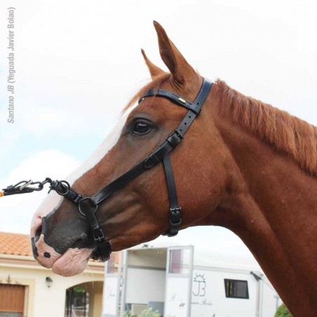 CABEZADA MARJOMAN DE DOMA CON SERRETÓN DE 3 PILARES Y ANILLA LATERAL
