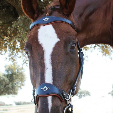 CABEZADA MARJOMAN HACKAMORE SIN RIENDAS