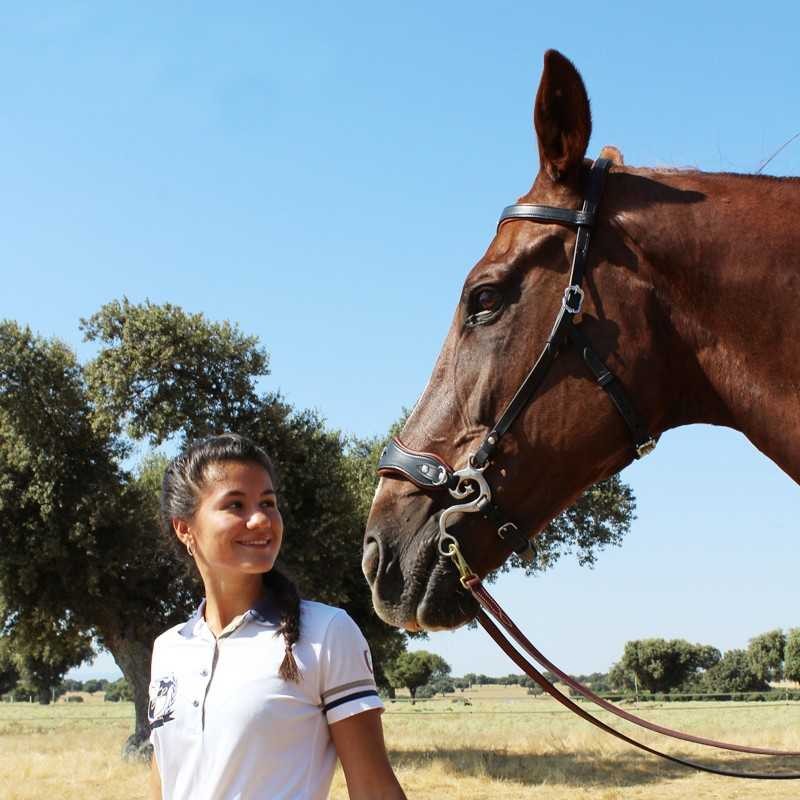 CABEZADA MARJOMAN HACKAMORE SIN RIENDAS