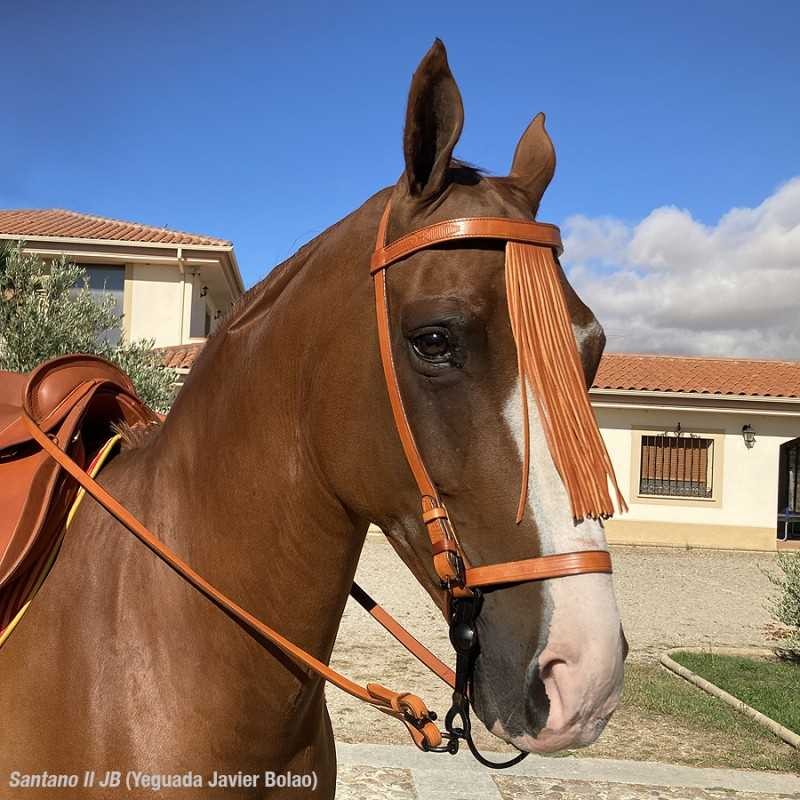 CABEZADA MARJOMAN ESPAÑOLA CON RIENDAS COSIDA A...