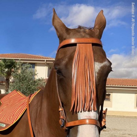 CABEZADA MARJOMAN ESPAÑOLA CON RIENDAS COSIDA A MÁQUINA