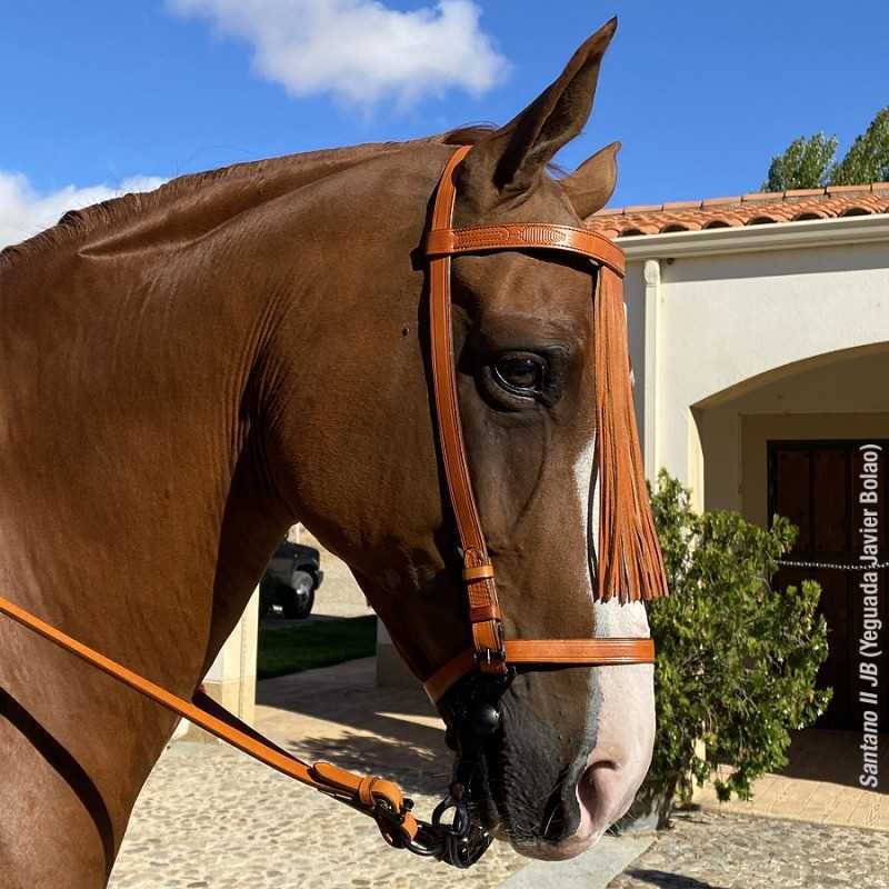 CABEZADA MARJOMAN ESPAÑOLA CON RIENDAS COSIDA A MÁQUINA