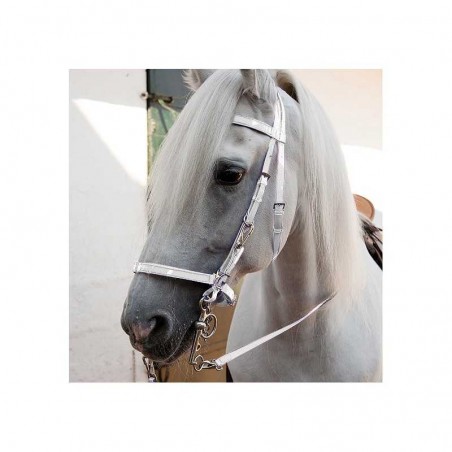 CABEZADA DE BIOTANE PARA RAID CON RIENDAS