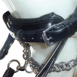 CABEZADA DE CUERO INGLÉS DE DOBLE RIENDA 2