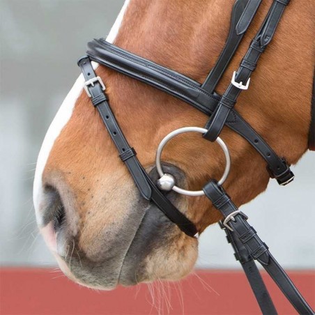CABEZADA PARA FILETE KIEFFER ULTRASOFT COMBI BRIDLE