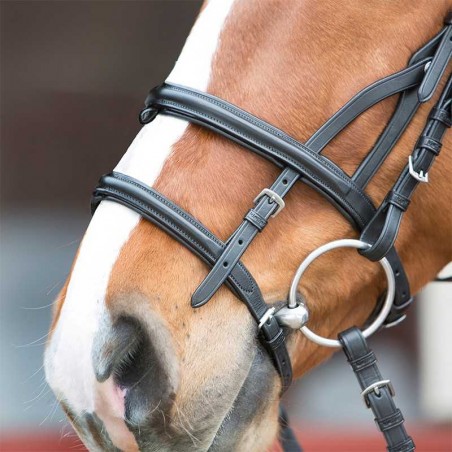 CABEZADA PARA FILETE KIEFFER ULTRASOFT COMBI BRIDLE