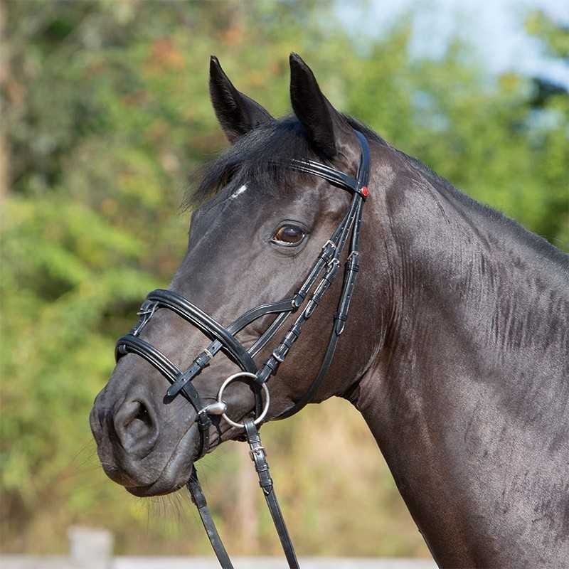 CABEZADA PARA FILETE KIEFFER ULTRASOFT COMBI BRIDLE