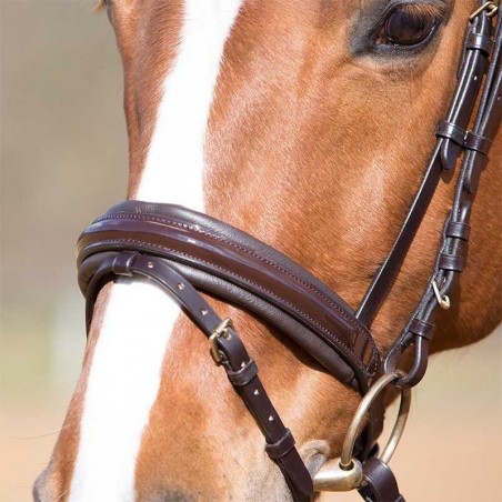 CABEZADA KIEFFER PARA FILETE COMFORT PARIS II