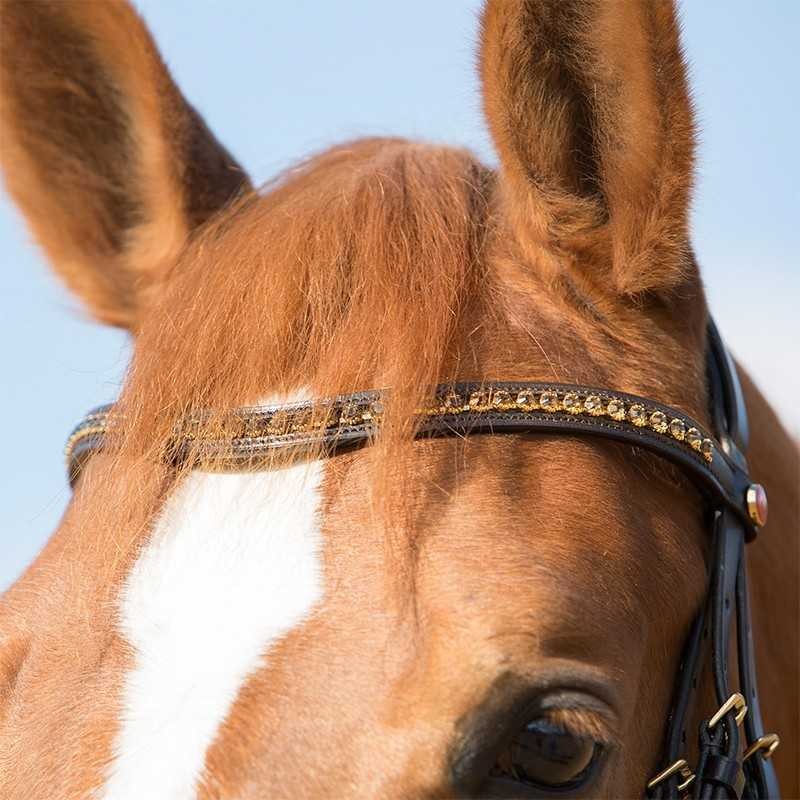 CABEZADA KIEFFER PARA FILETE COMFORT PARIS II