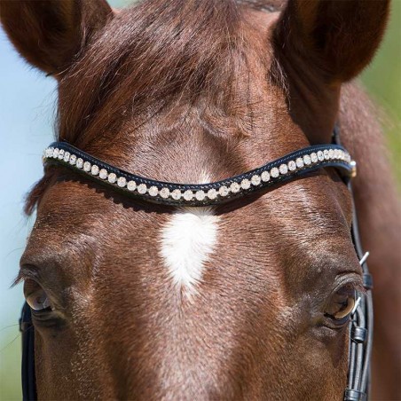 CABEZADA KIEFFER PARA FILETE LEA