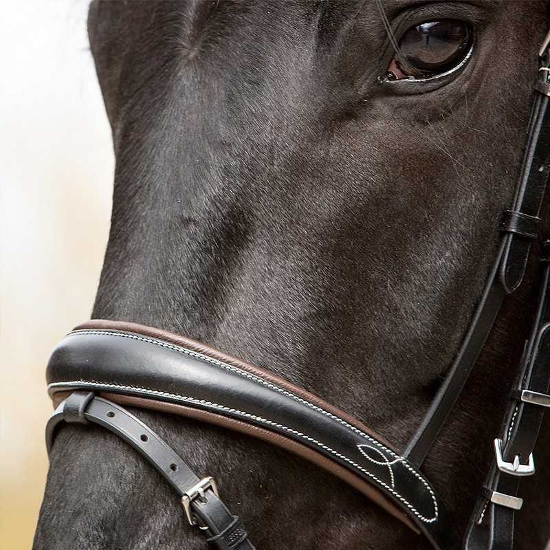 CABEZADA KIEFFER PARA FILETE VERA