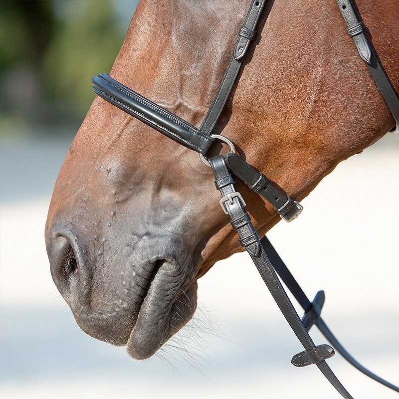 CABEZADA KIEFFER BITLESS BRIDLE ULTRASOFT KENDRA