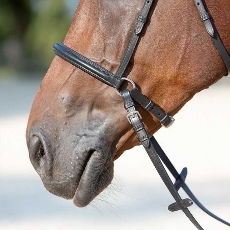 CABEZADA KIEFFER BITLESS BRIDLE ULTRASOFT KENDRA