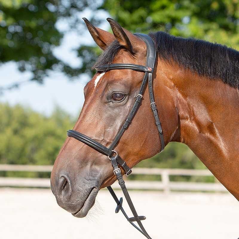 CABEZADA KIEFFER BITLESS BRIDLE ULTRASOFT KENDRA