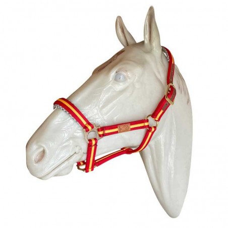 CABEZADA MARJOMAN DE CANUTILLO Ex-FULL