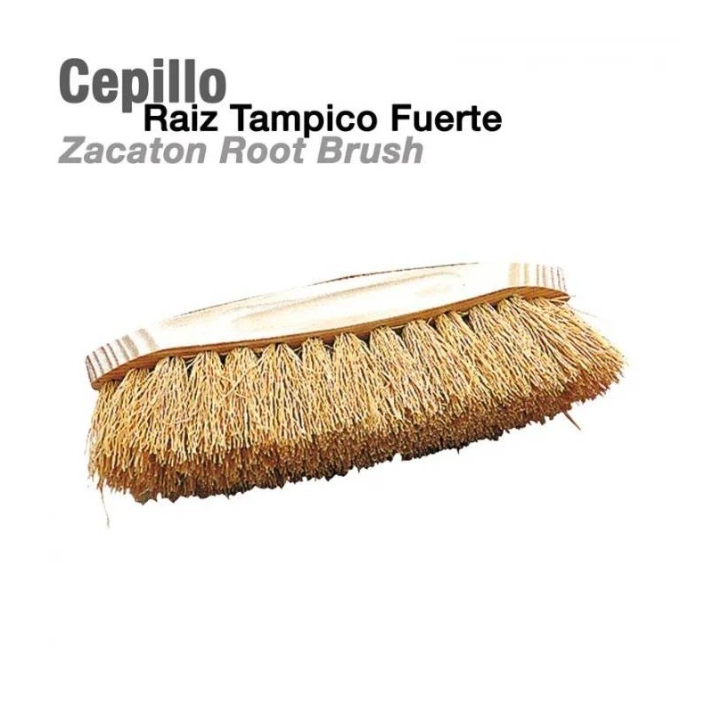 CEPILLO RAIZ TAMPICO FUERTE