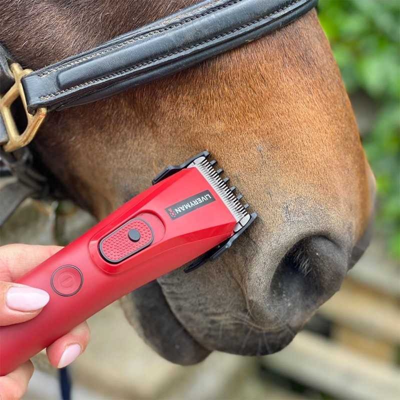 ESQUILADORA LIVERYMAN NOVA