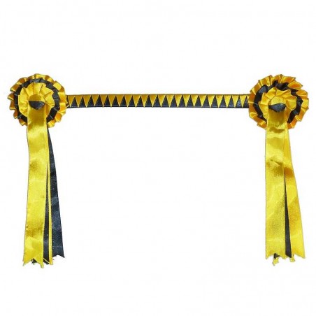 FRONTALERA DE PRESENTACIÓN ECONÓMICA CON CUCARDAS