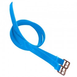 ACIONES DE BIOTANE PARA RAID MARJOMAN 2