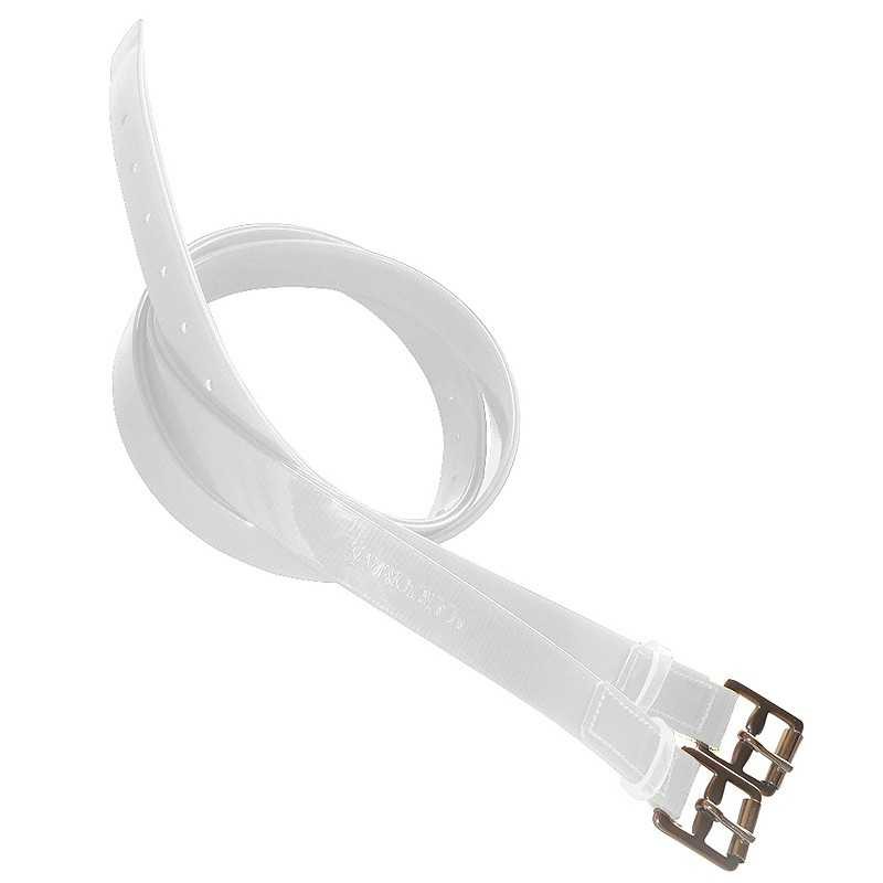 ACIONES DE BIOTANE PARA RAID MARJOMAN