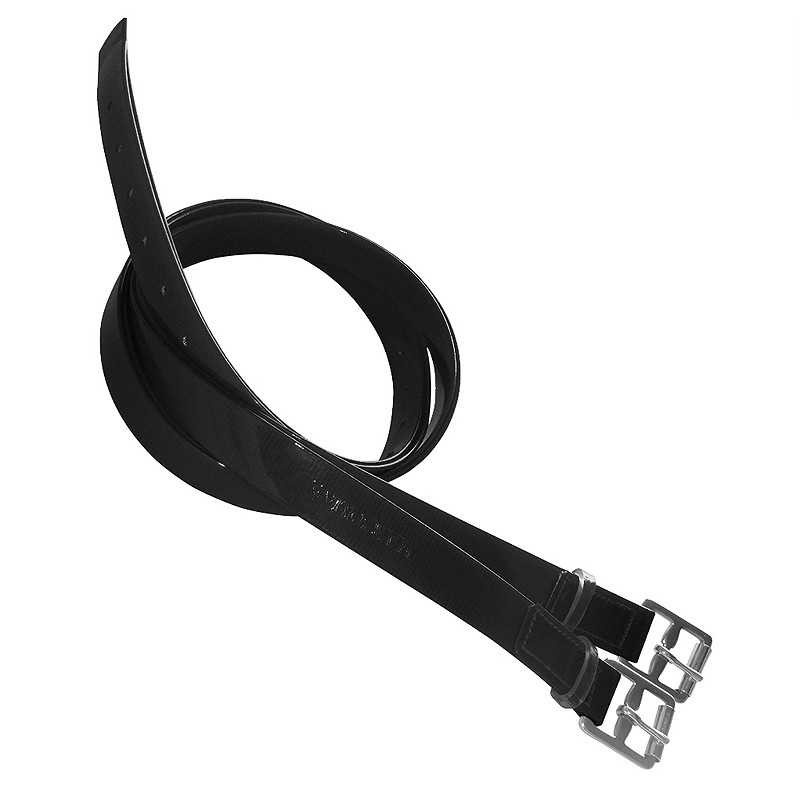 ACIONES DE BIOTANE PARA RAID MARJOMAN