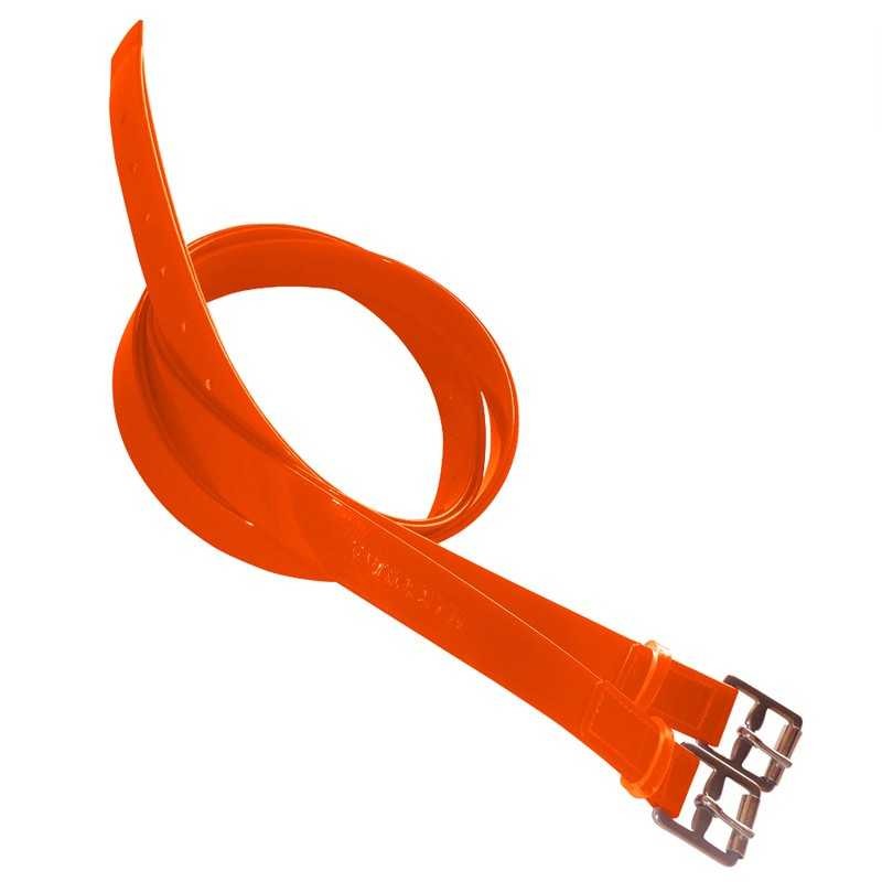 ACIONES DE BIOTANE PARA RAID MARJOMAN