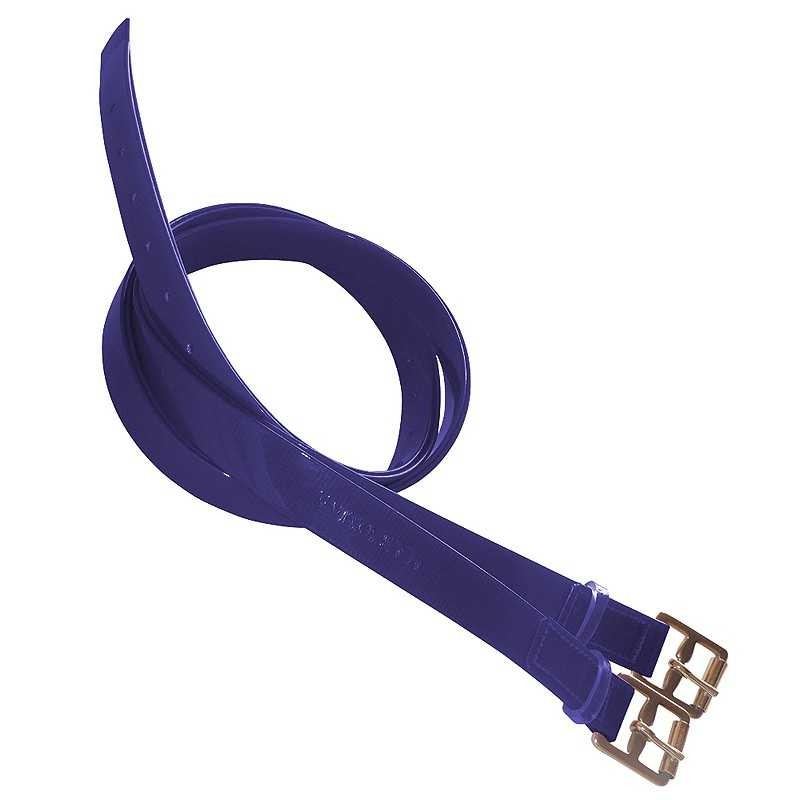 ACIONES DE BIOTANE PARA RAID MARJOMAN