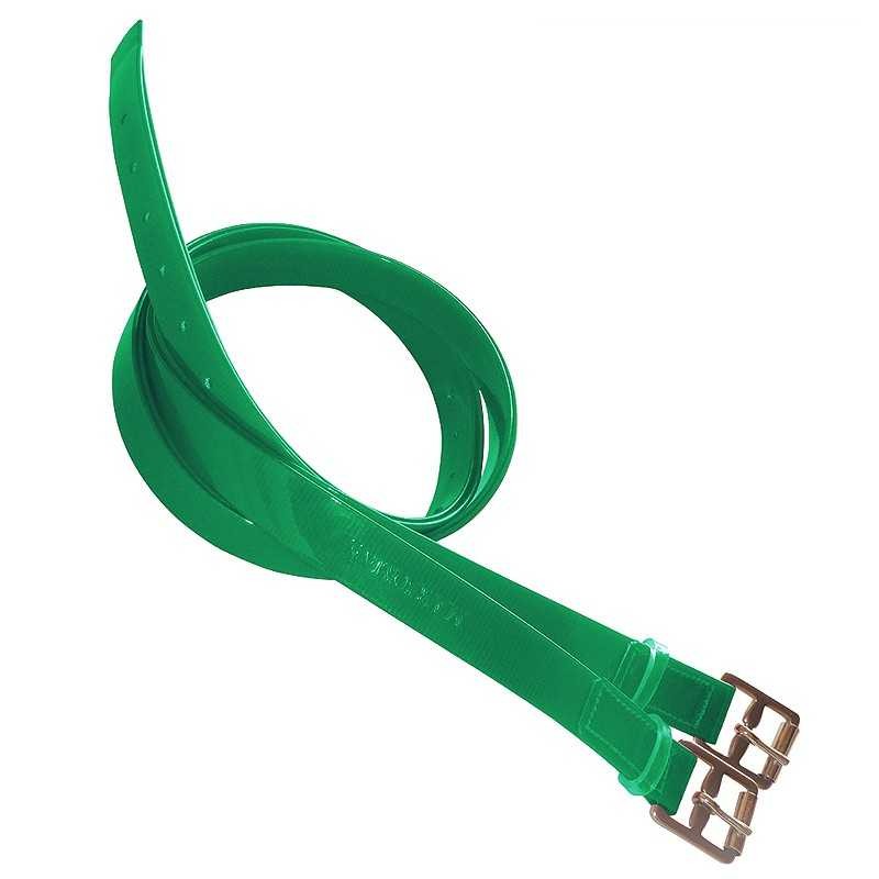 ACIONES DE BIOTANE PARA RAID MARJOMAN