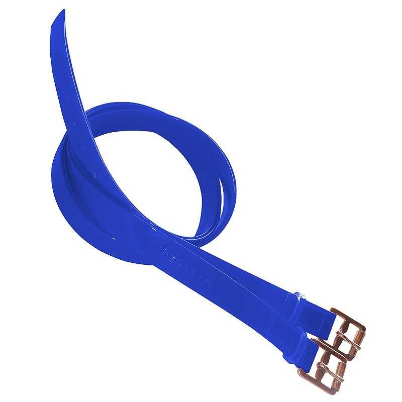 ACIONES DE BIOTANE PARA RAID MARJOMAN