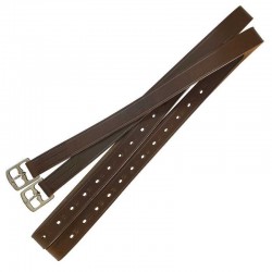 ACIONES ECONÓMICAS INGLESAS DE CUERO 2