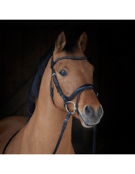 Cabezada para filete Kieffer Ilona