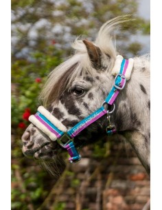 Cabezada -Funny Horses- 2