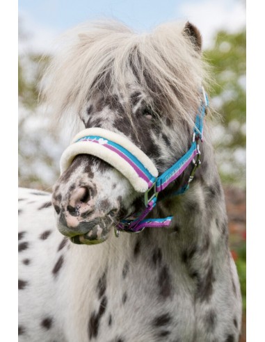 Cabezada -Funny Horses-