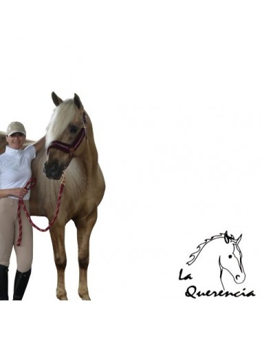 Legging  eq colección starligth