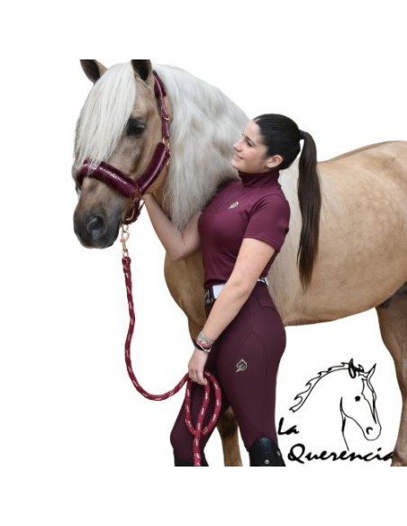 Base layer eq starlight