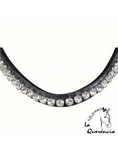 CABEZADA HKM SHETTY DIAMOND 2
