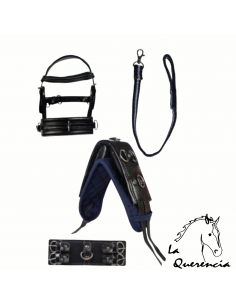 CONJUNTO JUGUETE PONY