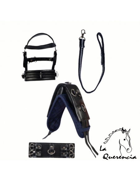 CONJUNTO JUGUETE PONY