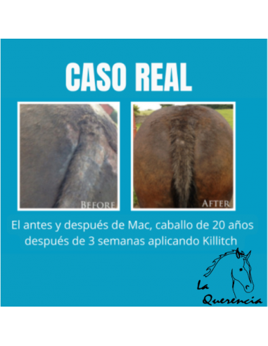 copy of CHAMPU C&D ANTISEPTICO MEDICALIZADO 500ML