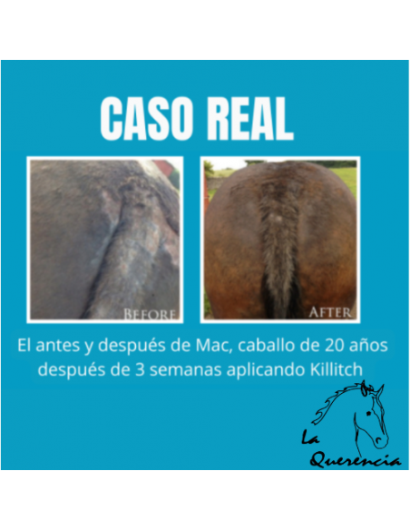 copy of CHAMPU C&D ANTISEPTICO MEDICALIZADO 500ML