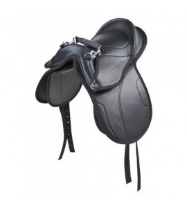 Silla de Shetty -Starter-