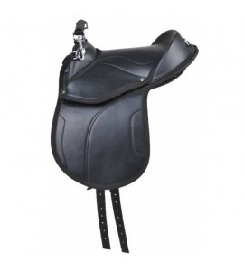 Silla de Shetty -Starter-