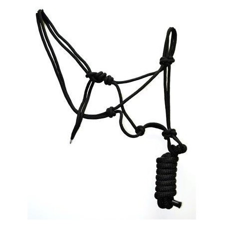 Cabezada cuadra cuerda iQuus con Ramal