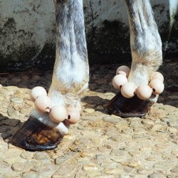 JUEGO BOLAS CORREA ELEVACION