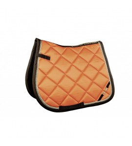 Mantilla -Golden Gate Bit-